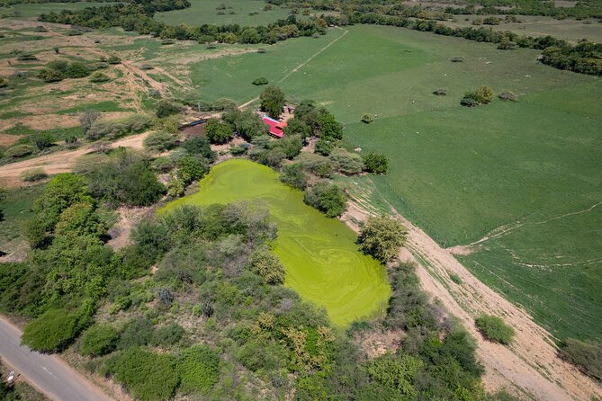 Community and Biodiversity Tour of the Tatacoa Desert From Neiva - Astronomical Experience