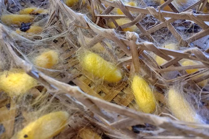 Completed Thai Silk Class Experience - Hands-On Project Highlights
