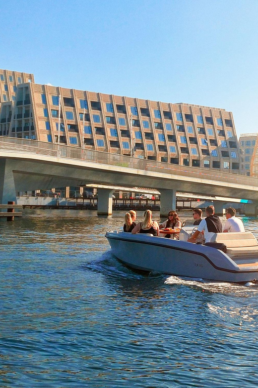 Copenhagen: 2, 3, 4 or 5-Hour Private Boat Tour With Captain - Booking Process