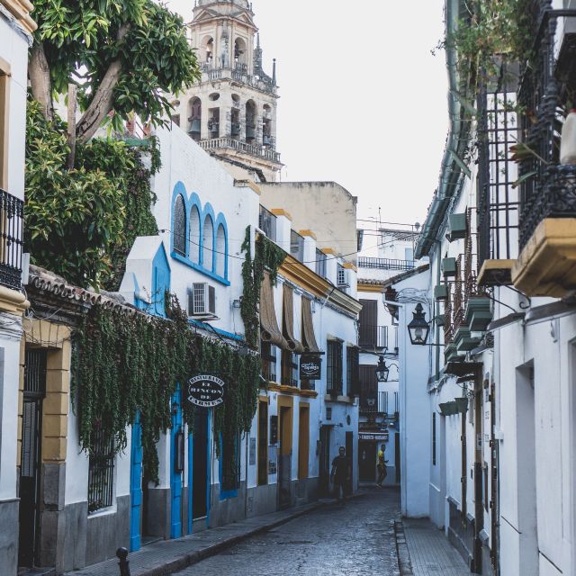 Cordoba: 3-Hour Private Walking Tour - Tour Duration and Price