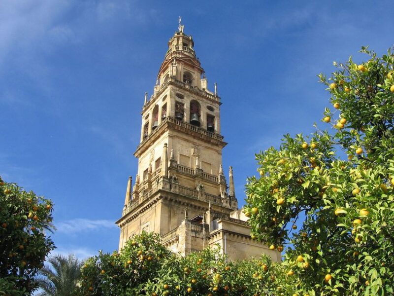 Cordoba: Mosque-Cathedral Private Tour With Ticket Included - Inclusions