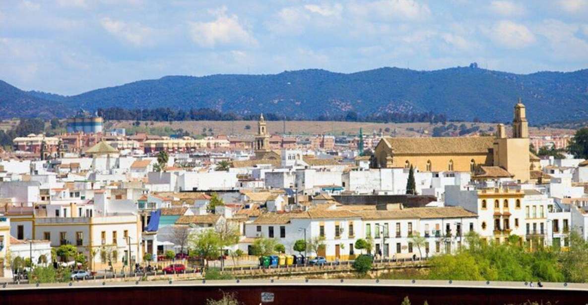 Cordoba: Old Town Private Walking Tour - Experience Features