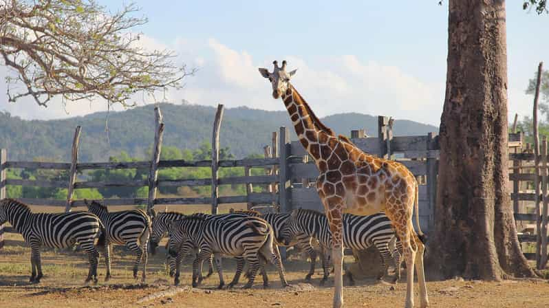 Coron Calauit Safari Tour (Private Tour) - Included in the Tour