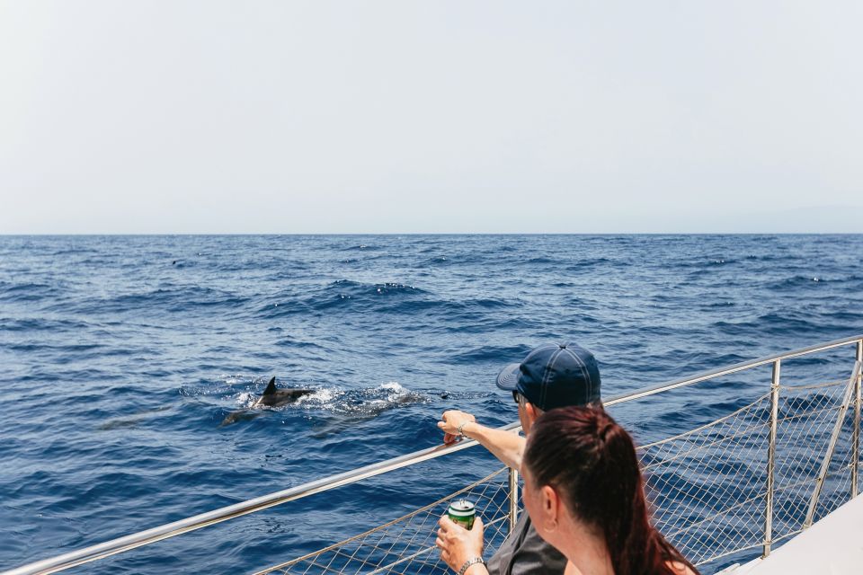 Costa Adeje: Whale Watching Catamaran Tour With Drinks - Wildlife and Marine Life