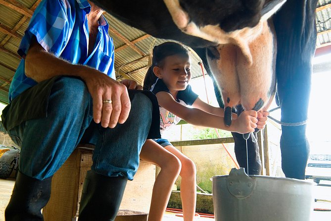 Costa Rica Campesino Farm Tour - Negative Customer Feedback