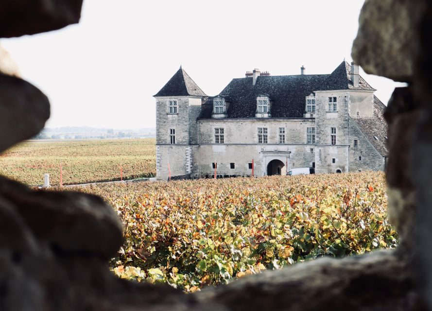 Côte De Beaune and Côte De Nuits: Private Full Day Wine Tour - Inclusions