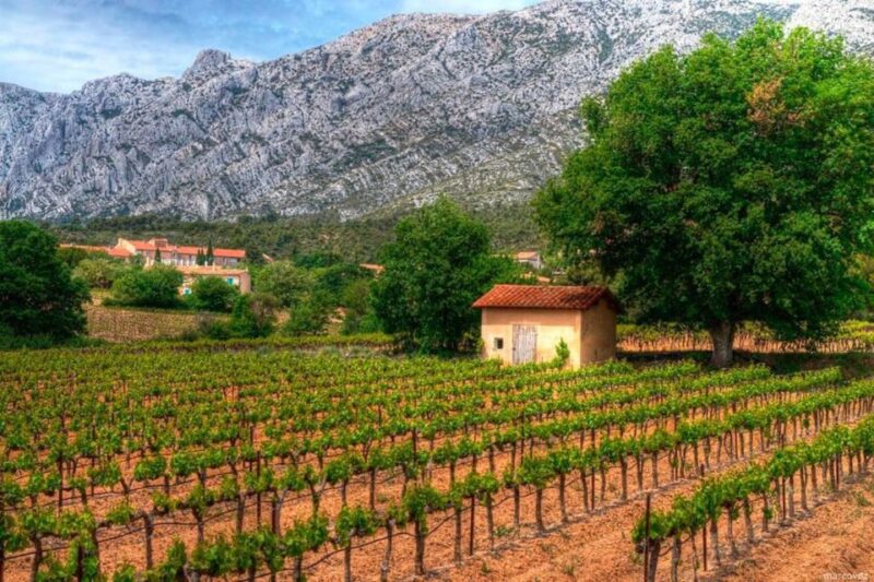 Coteaux D'aix: Sainte-Victoire Wine Tour & Cézanne Mill Visit - Wine Tasting Details