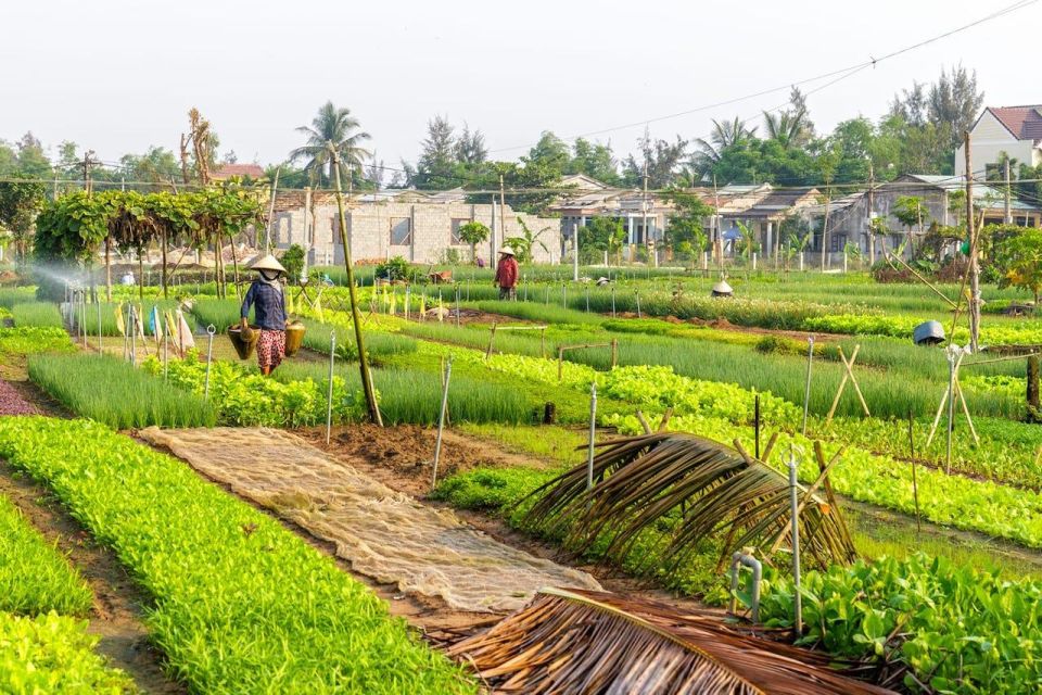 Countryside Biking, Farming, Basket Boat Ride,Cooking Class - Eco-Coconut Village Activities