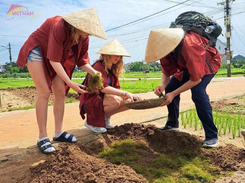 Countryside Biking -Farming -Market -Cooking Class In Hoi An - Itinerary Details