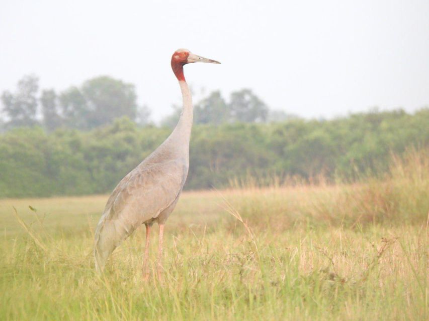 CRANES OF THE MEKONG by Discovery Center, Kep West - Inclusions and Amenities