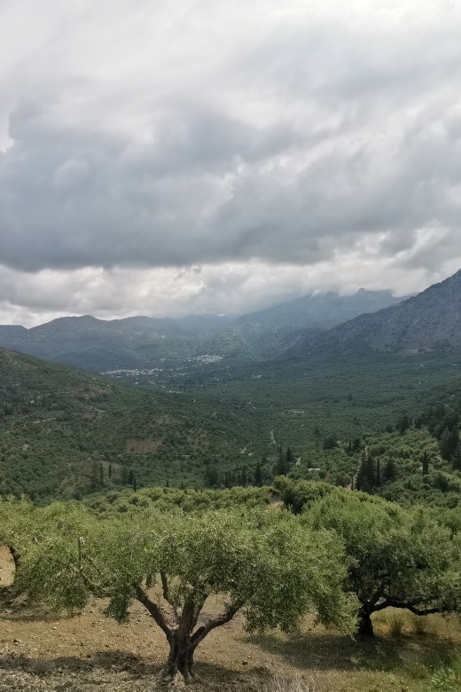 Crete: Island Jeep Tour With BBQ - Inclusions