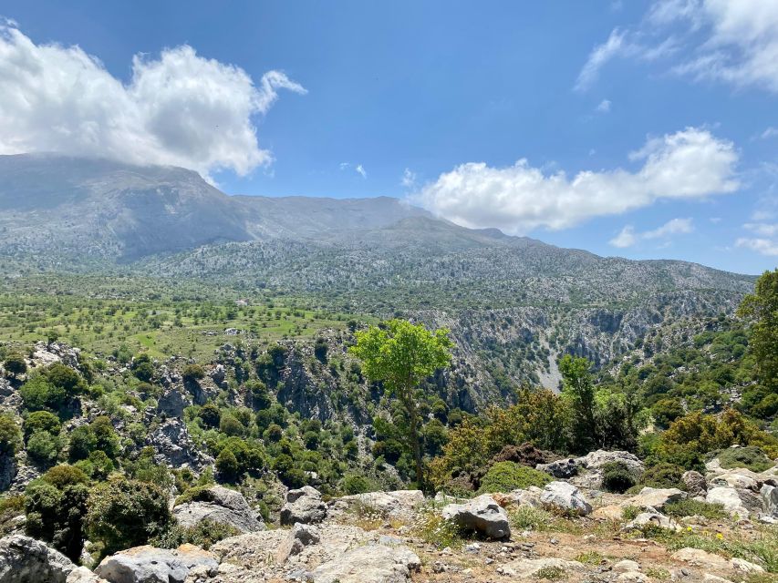 Crete: Kritsa Canyon Guided Hiking Tour - Stunning Landscapes