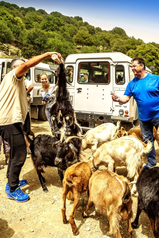 Crete: Land Rover Safari on Minoan Route - Tour Details