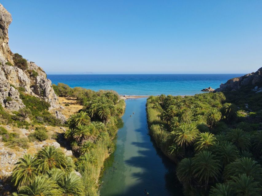 Crete: Preveli Tropical Beach and Palm Forest - Highlights of the Experience