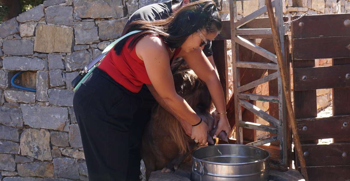 Crete: Shepherd'S Life & Psiloritis Mountain Tour With Meal - Experience and Activities