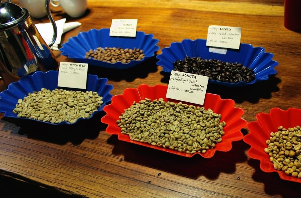 Cupping and Blending Your Own Vietnamese Beans - Cupping Techniques Explained