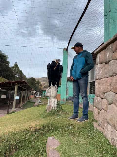 Cusco: Sanctuary of Animals Rescued Cochahuasi - Itinerary Highlights