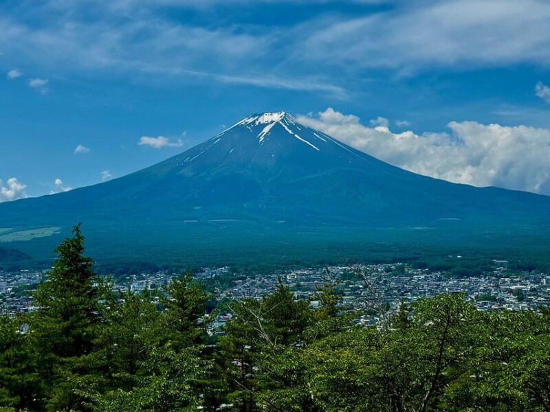 Customizable Mount Fuji Private Tour/ Eng Speaking Driver - Highlights and Unique Features