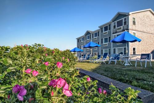 Cutty Sark Motel - Accommodation Options