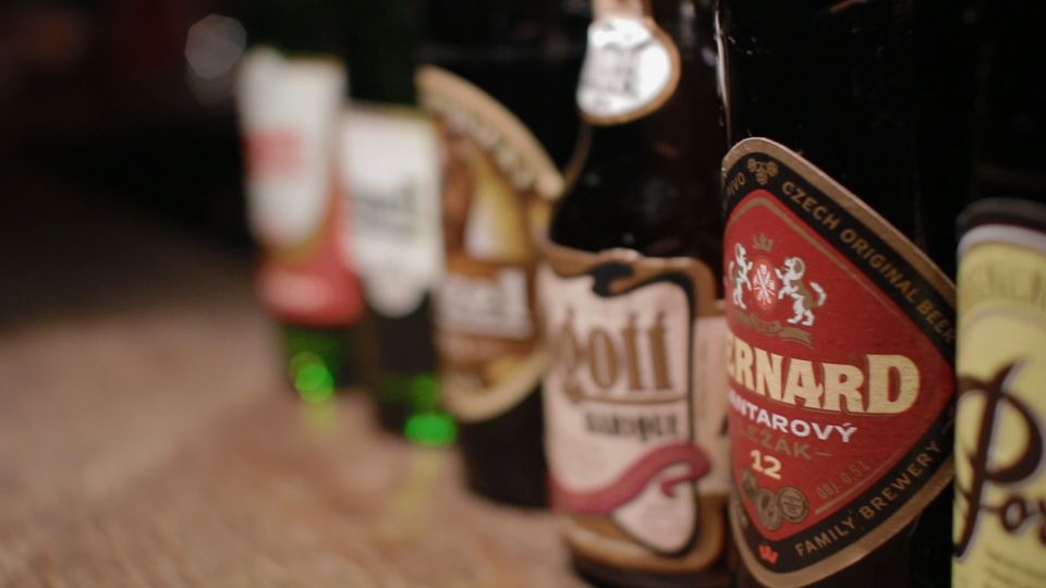 Czech Beer Tasting in Prague - Educational Insights