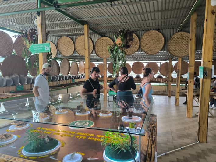 Da Lat : COFFEE CLASS AND DALAT OUTSKIRT TOUR - Coffee Experience