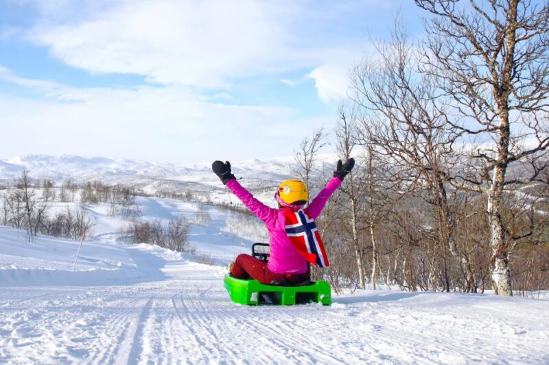 Dagali: 2-Hour Racing Toboggan Adventure - Safety and Participant Guidelines
