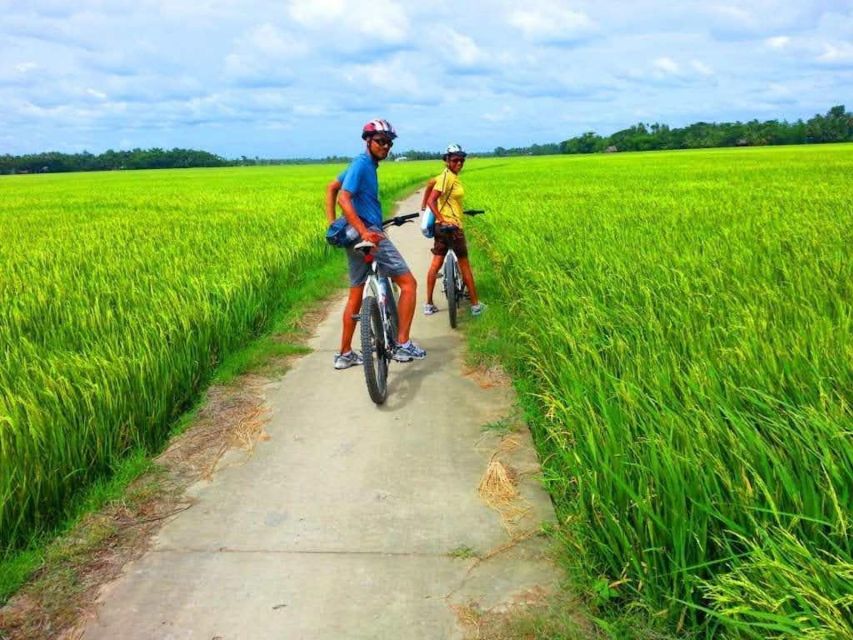 Daily TOUR HOI an COUNTRYSIDE BIKE TOUR Without Meal - Highlights of the Tour