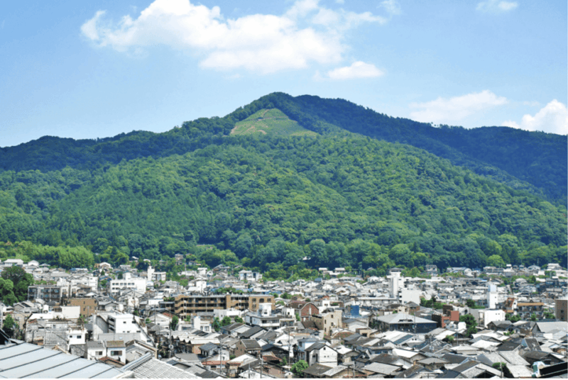Daimonjiyama Hiking Tour: an Adventure Overlooking Kyoto - Tips for a Successful Hike