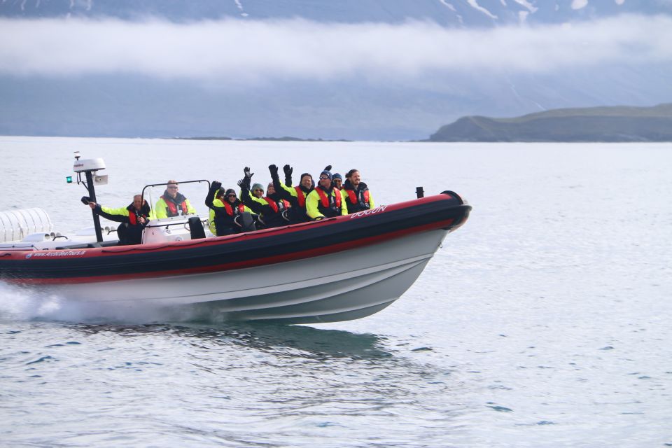 Dalvík: Whale Watching Speedboat Tour - Unique Tour Experience