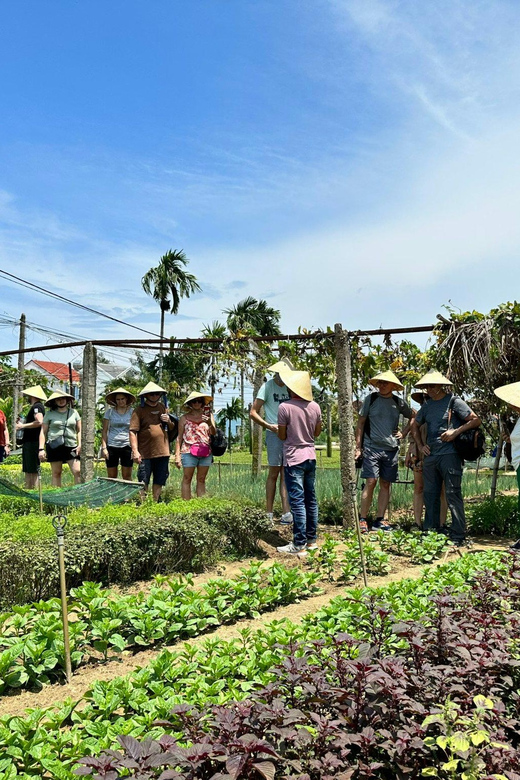 Danang/Hoi An: Vegetable Farming, Basket Boat, Cooking Class - Cooking Class Details