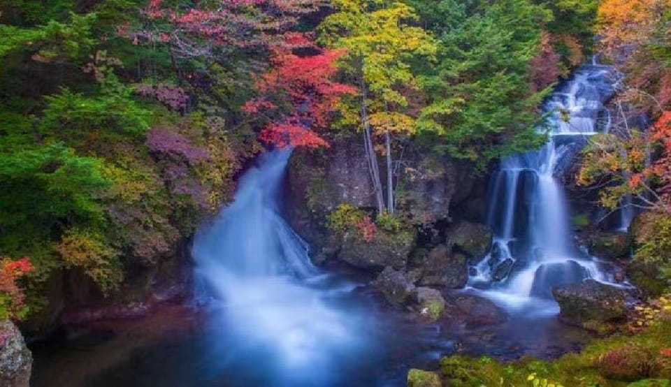 Day Tour Visit to Nikko Toshugo From Tokyo - Scenic Views on the Journey