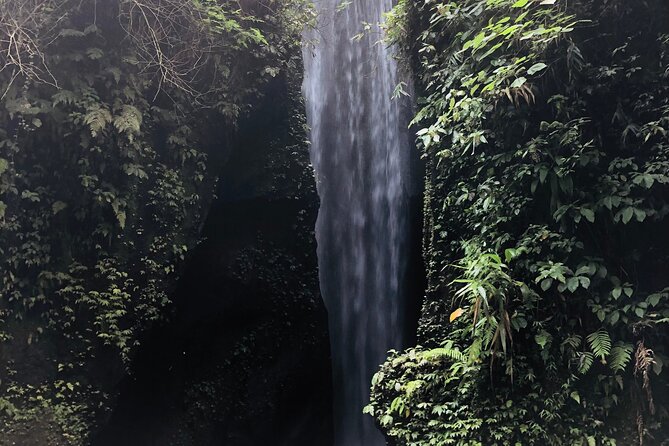 Day Tour With Sunrise and Waterfall - Discovering Penglipuran Village