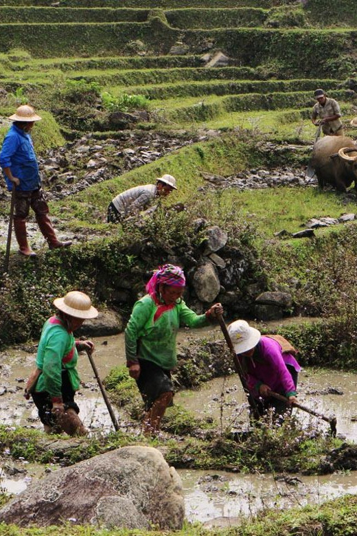 Day Trek Adventure With Local Guides - Guide Information