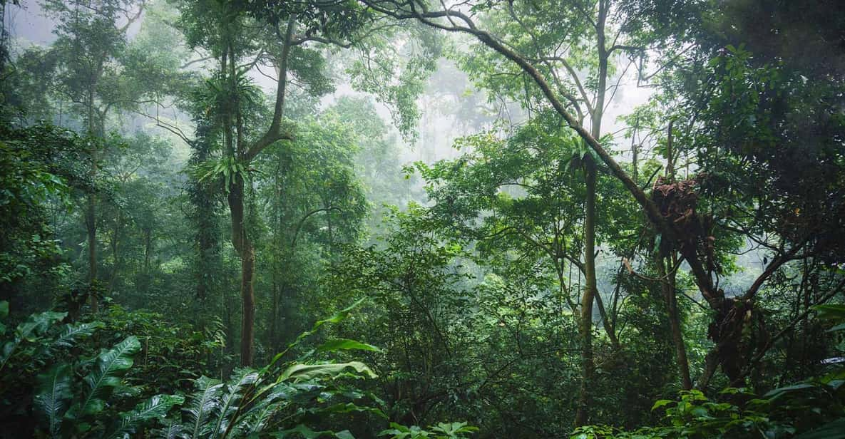 Day Trip for a Group to Cuc Phuong National Park - Inclusions