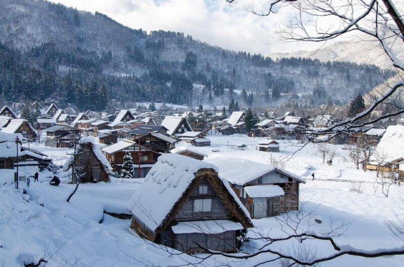 Day Trip From Nagoya（Gujo Hachiman ,Takayama & Shirakawago） - Itinerary Highlights
