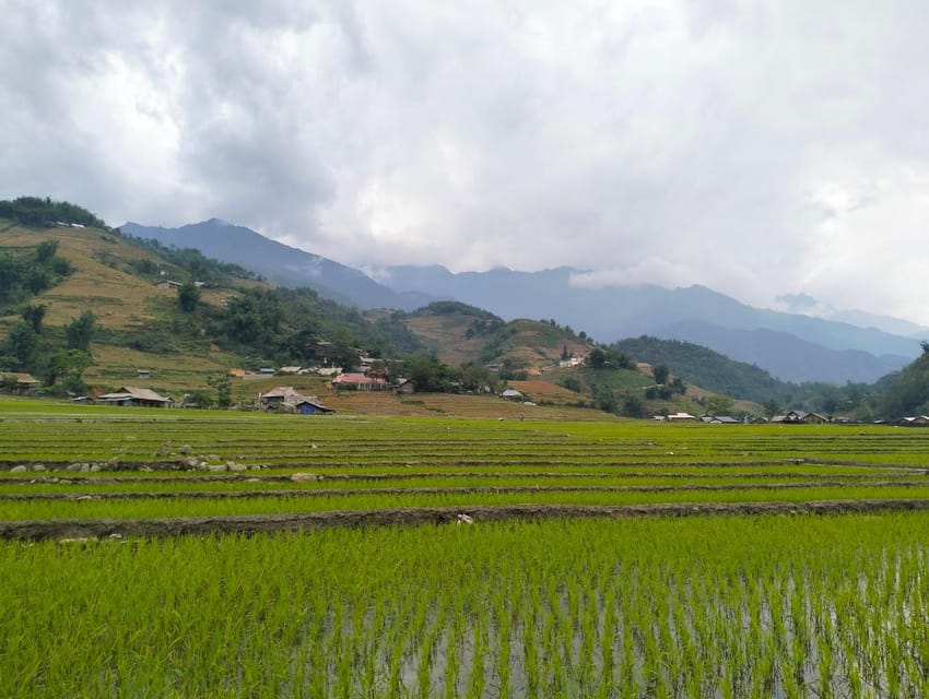 Day Trip Visit Y Linh Ho,Lao Chai –Ta Van - Cat Cat Village - Inclusions and Exclusions