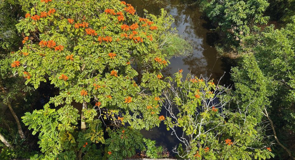 Day Visit to Lung Ngoc Hoang Nature Reserve - Can Tho City - Experience and Highlights