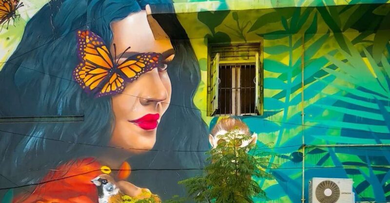 Delhi: Explore Delhis Street Art & Visit to an Art Centre - Street Art in Delhi