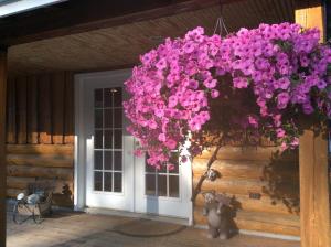 Denali Fireside Cabin & Suites - Available Amenities