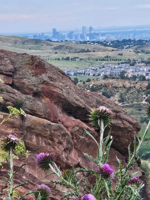 Denver: Colorado Cannabis Mountain Tour - Cannabis Experience