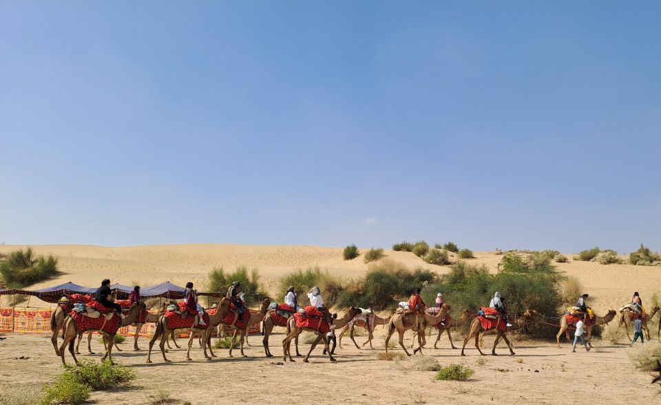 Desert Rose Jaisalmer: Overnight Thar Desert Experience - Pricing Information