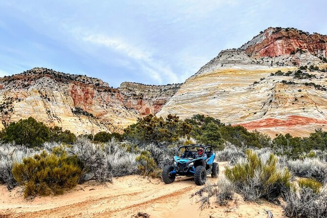 Dianas Throne UTV Adventure Near Zion National Park - Meeting Point and Logistics