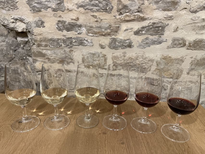 Dijon: Cheese and Burgundy Wine Tasting Workshop - Experience Highlights