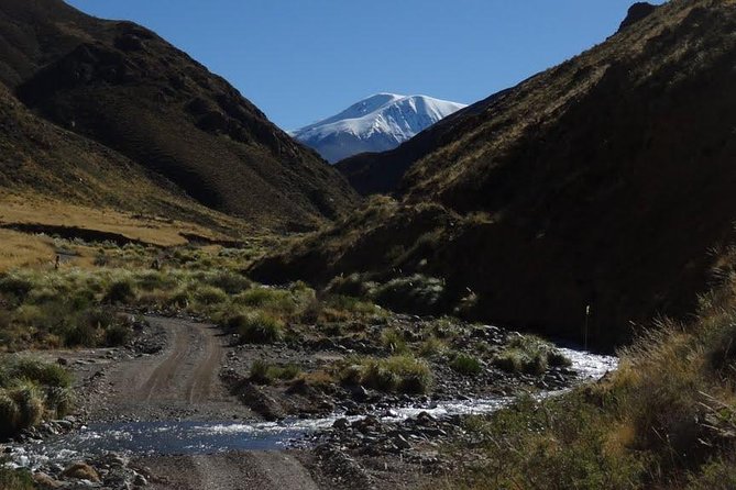 Discover Route 40 in Salta - Wine Tasting in the Andes