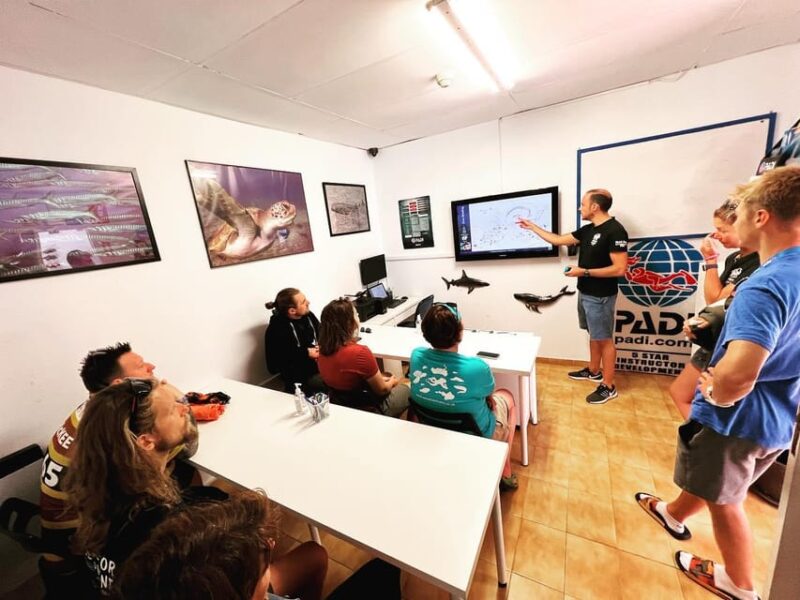 Discover Scuba Diving Experience - Scuba Diving Activities