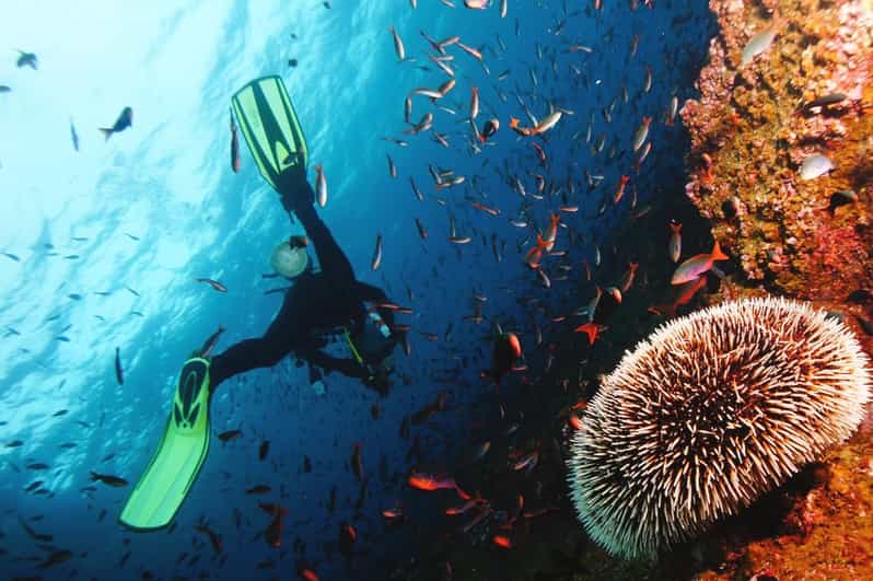 Discover Scuba Diving in Boracay - Booking and Cancellation Policies