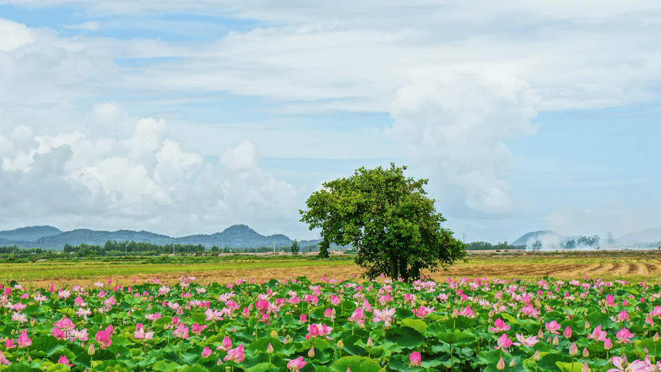 DISCOVER THE BEAUTY OF GANH NHAY - VAN PHONG BAY - Scenic Views En Route