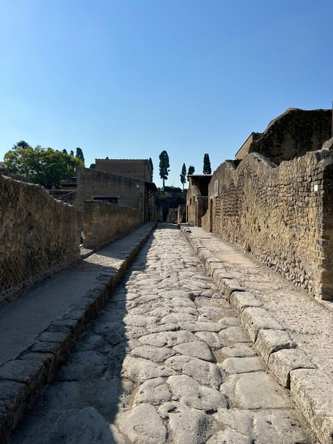 Discovering Vesuvius and Herculaneum - The Eruption of 79 AD