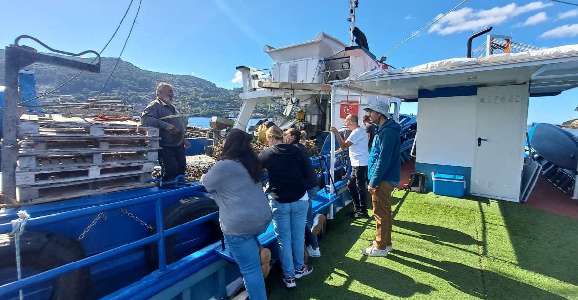 Discovering Vigo Ria and Mussels in the Traditional Boat - Booking Information