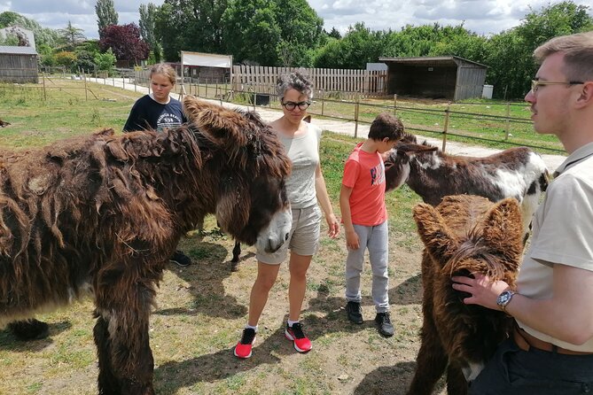 Discovery Day in the Footsteps of Baudet Du Poitou - Exploring the Diverse Marais Poitevin Landscapes